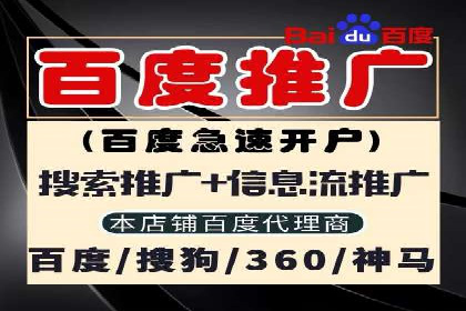 探索百度竞价托管外包的奥秘：成功企业的背后故事